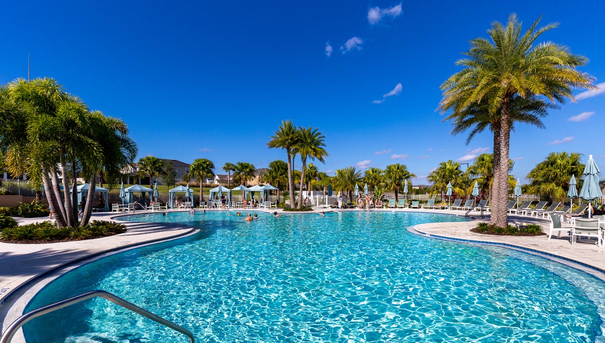 resort pool with palm trees around pool