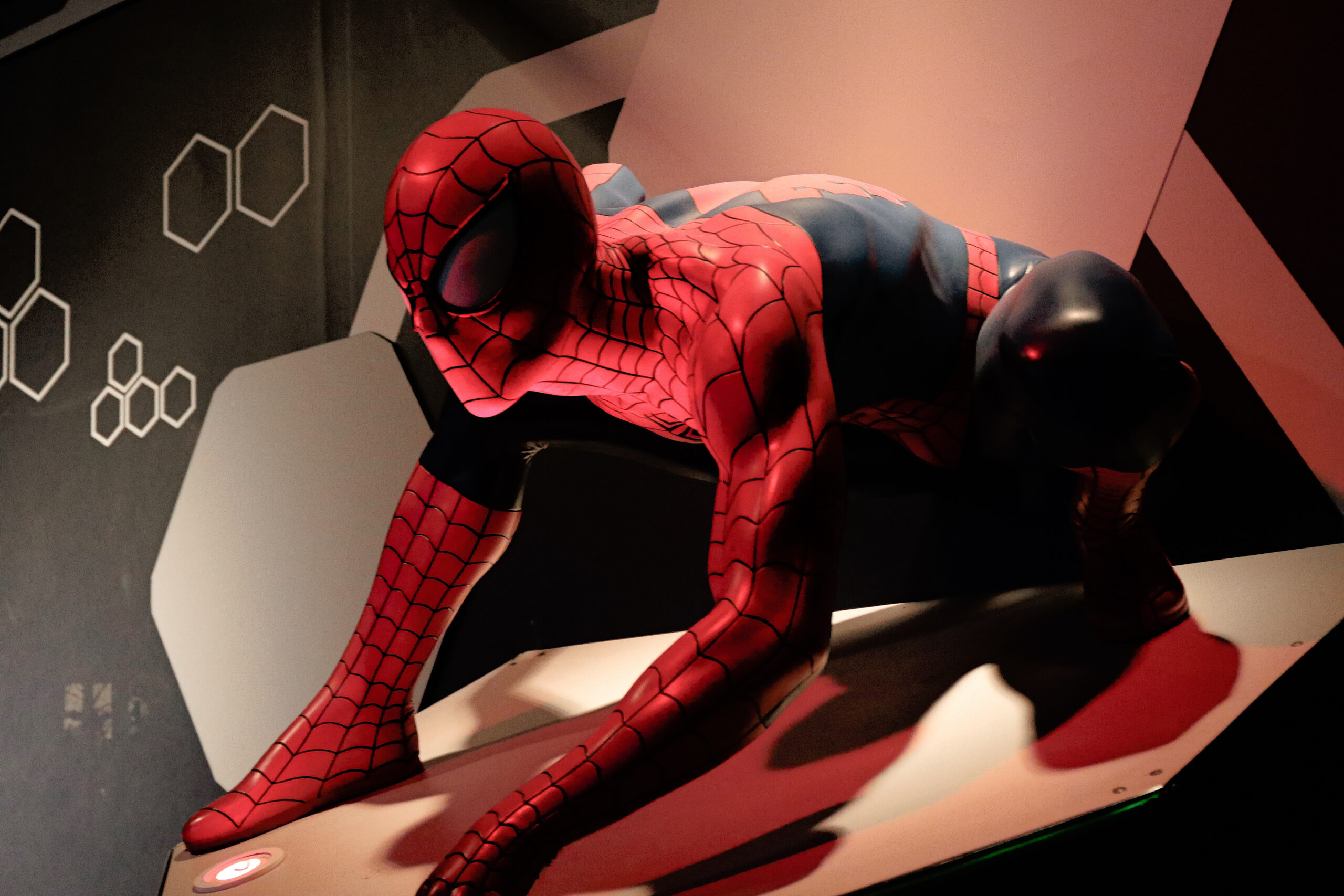 Art museums in Orlando