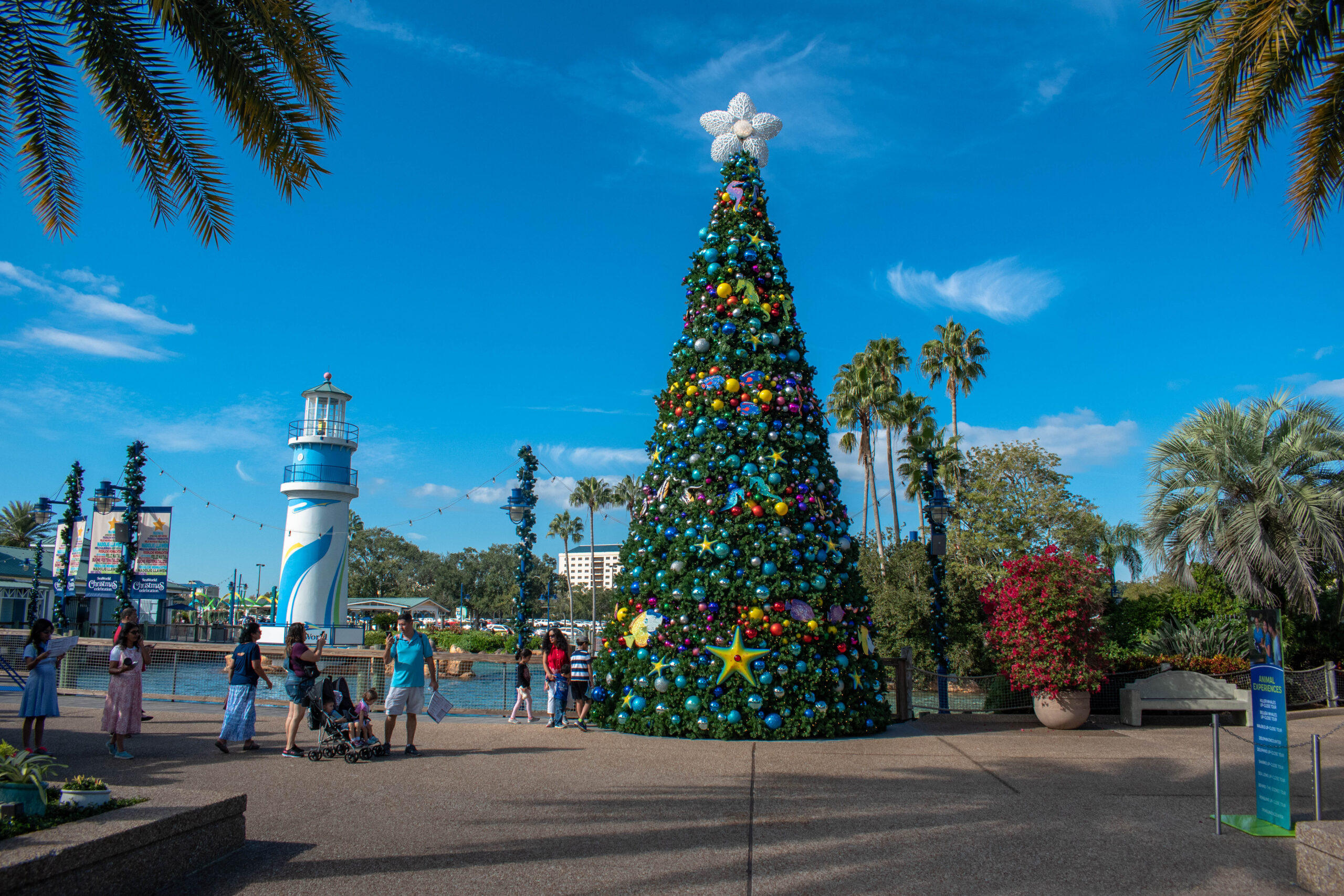 christmas things to do in orlando