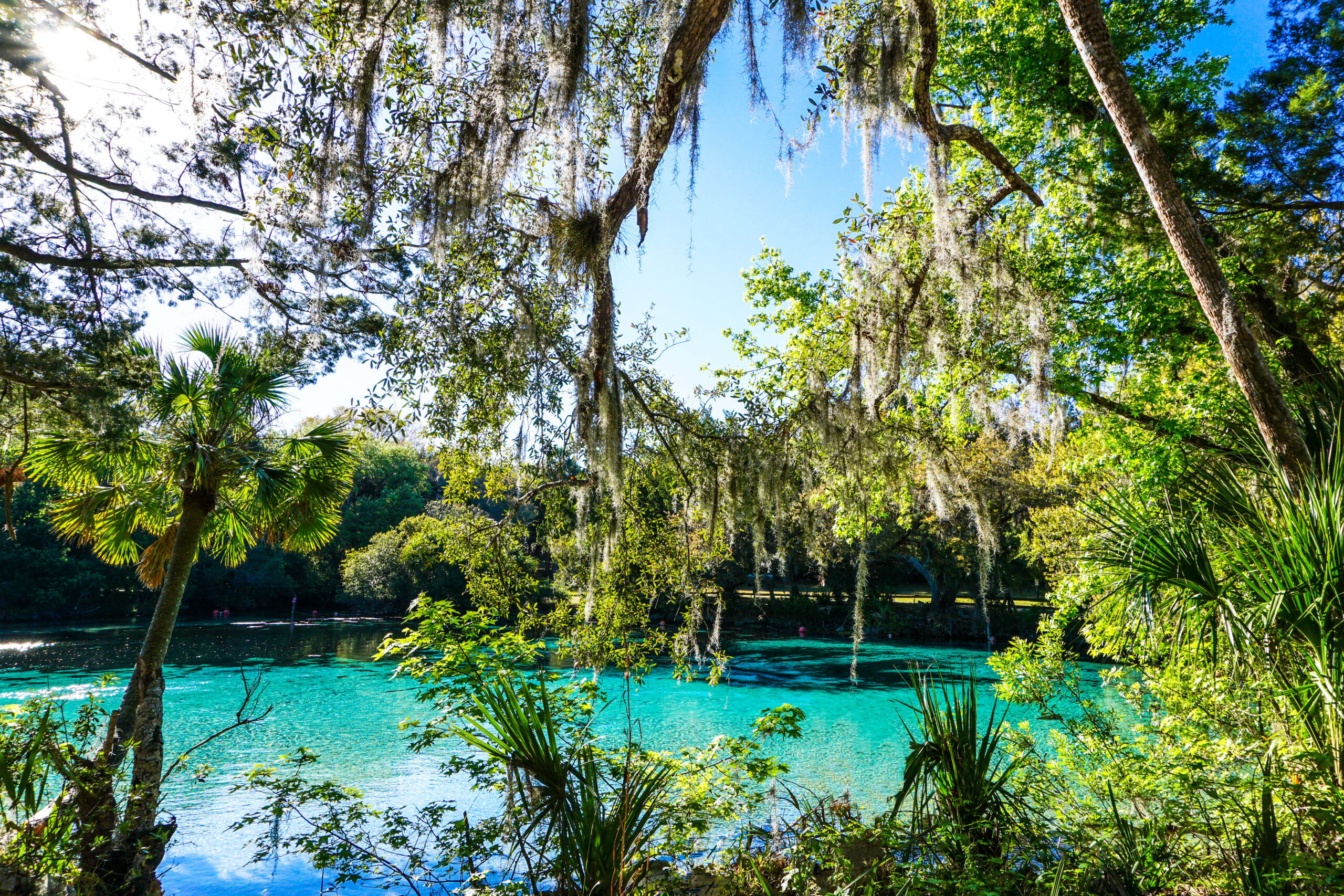 day trips in orlando