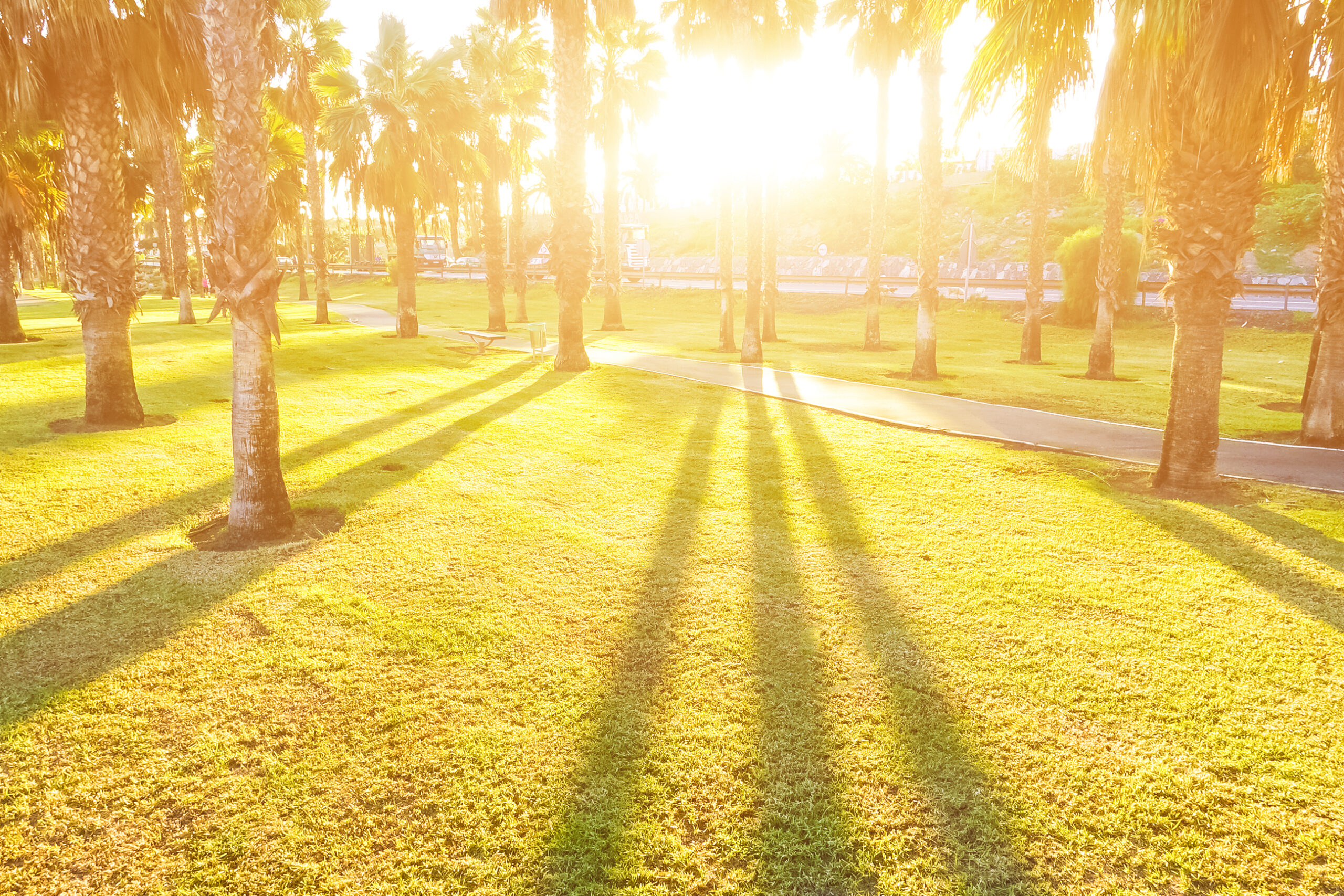 Disney World Weather Forecast Orlando