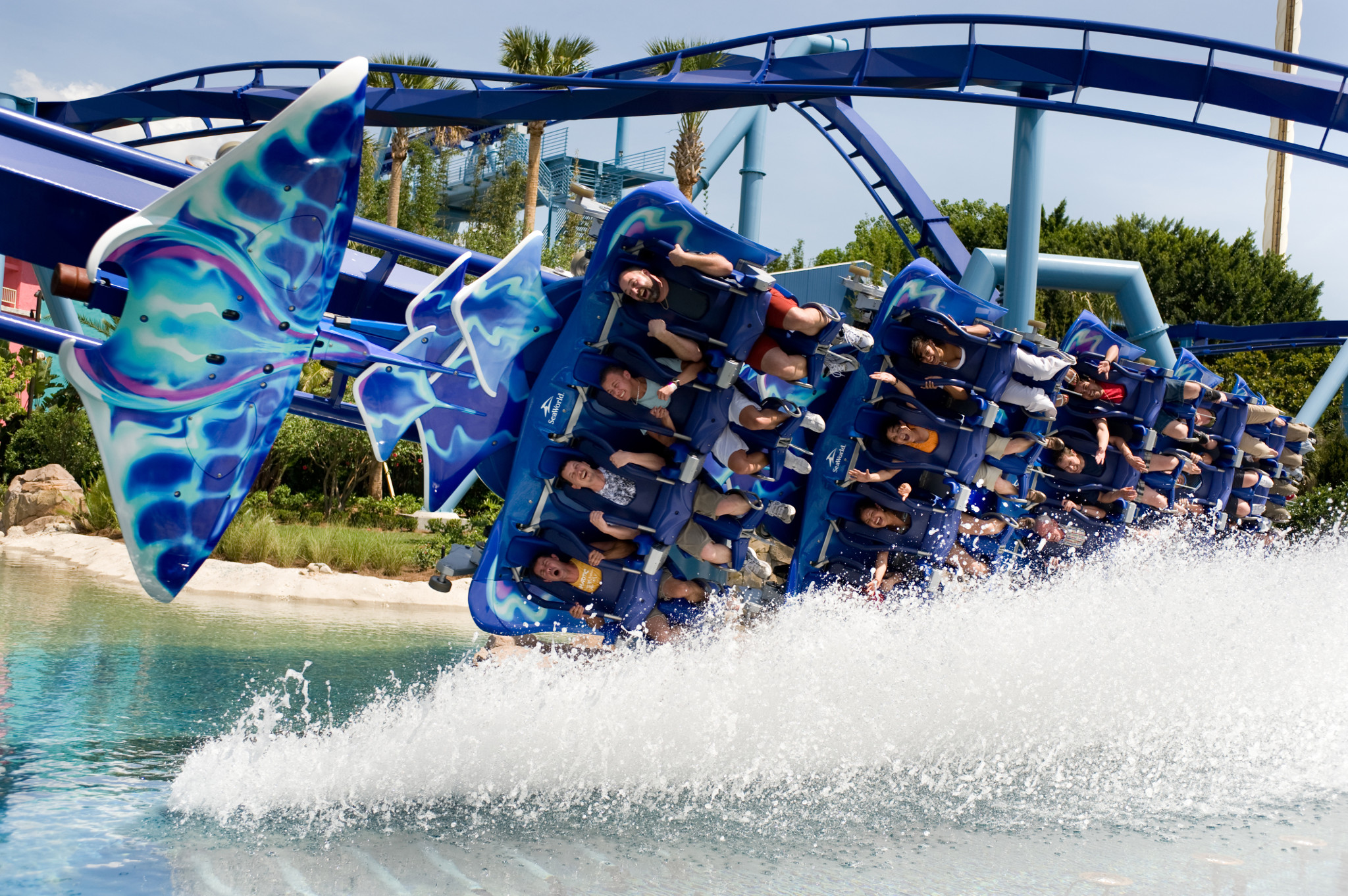 Manta-Dips-a-Wing-at-SeaWorld-Orlando