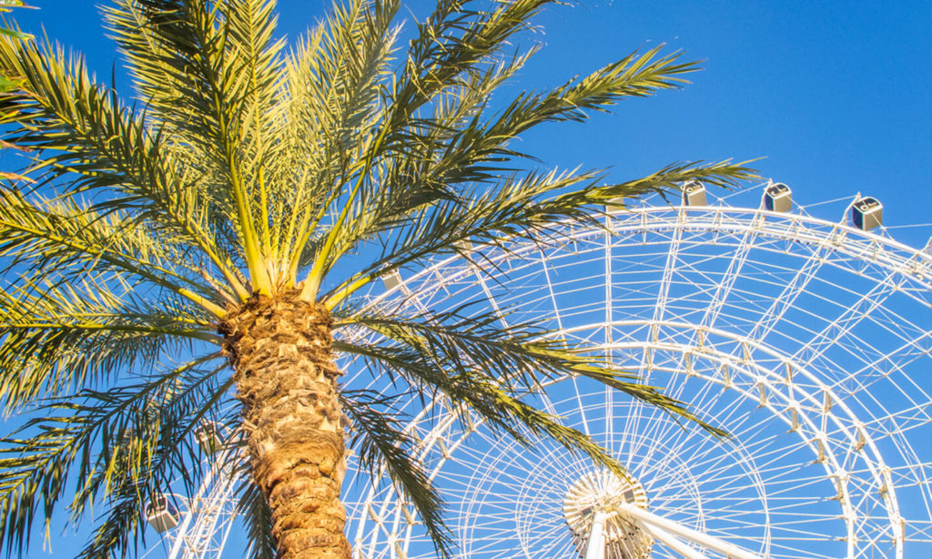 The Wheel at ICON Park